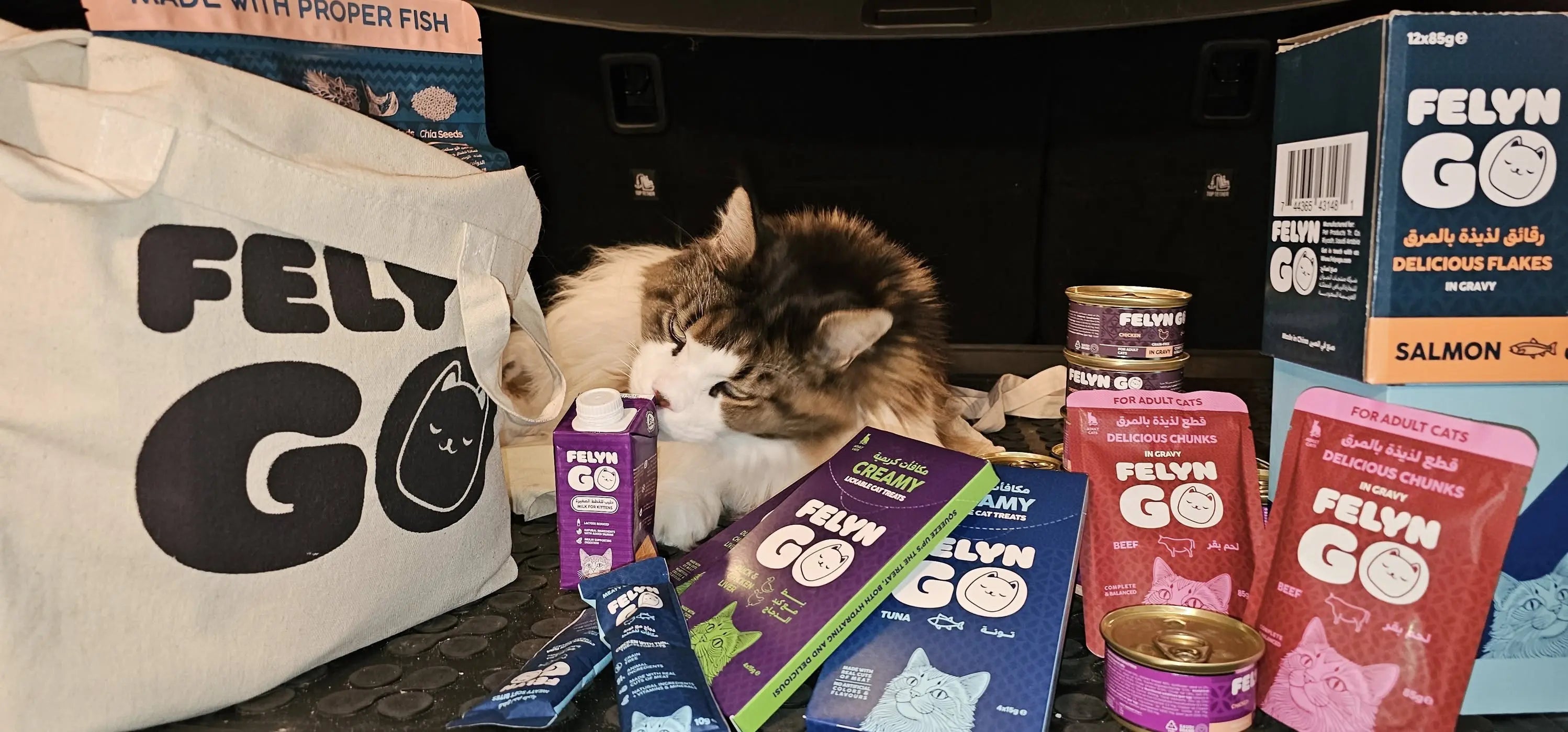 What Is Freeze-Dried Cat Food and How Is It Made?