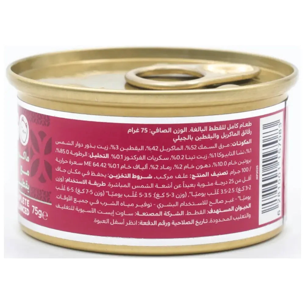 Felyn Go C&B Cans Mackerel With Pumpkin In Jelly Felyn Go Core