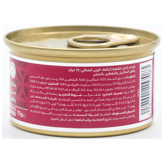 Felyn Go C&B Cans Mackerel With Pumpkin In Jelly Felyn Go Core