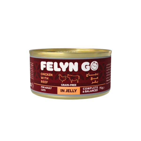 Chicken With Beef In Jelly