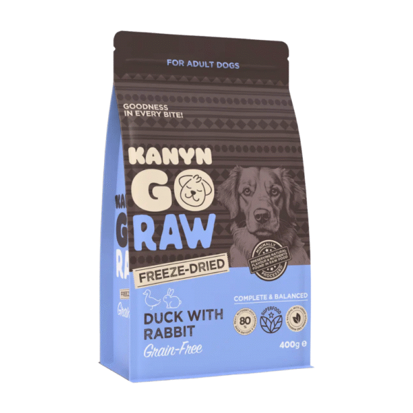 DUCK WITH RABBIT